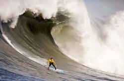 开云APP-意甲焦点战？莱比锡红牛末节发力，欧冠赛场客场带走尤文图斯