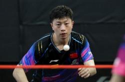 开云体育在线-日本乒乓球队爆冷德国乒乓球队，波尔统治全场的简单介绍