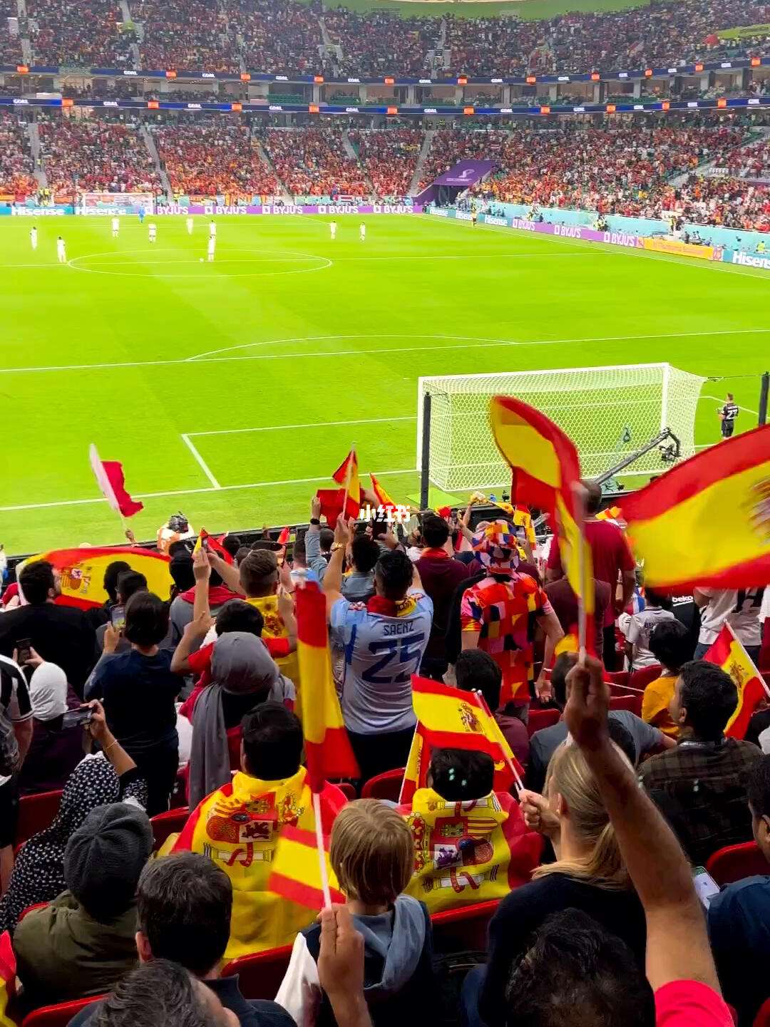 关于现场呐喊，球迷鼎力支持，助威声不断的信息