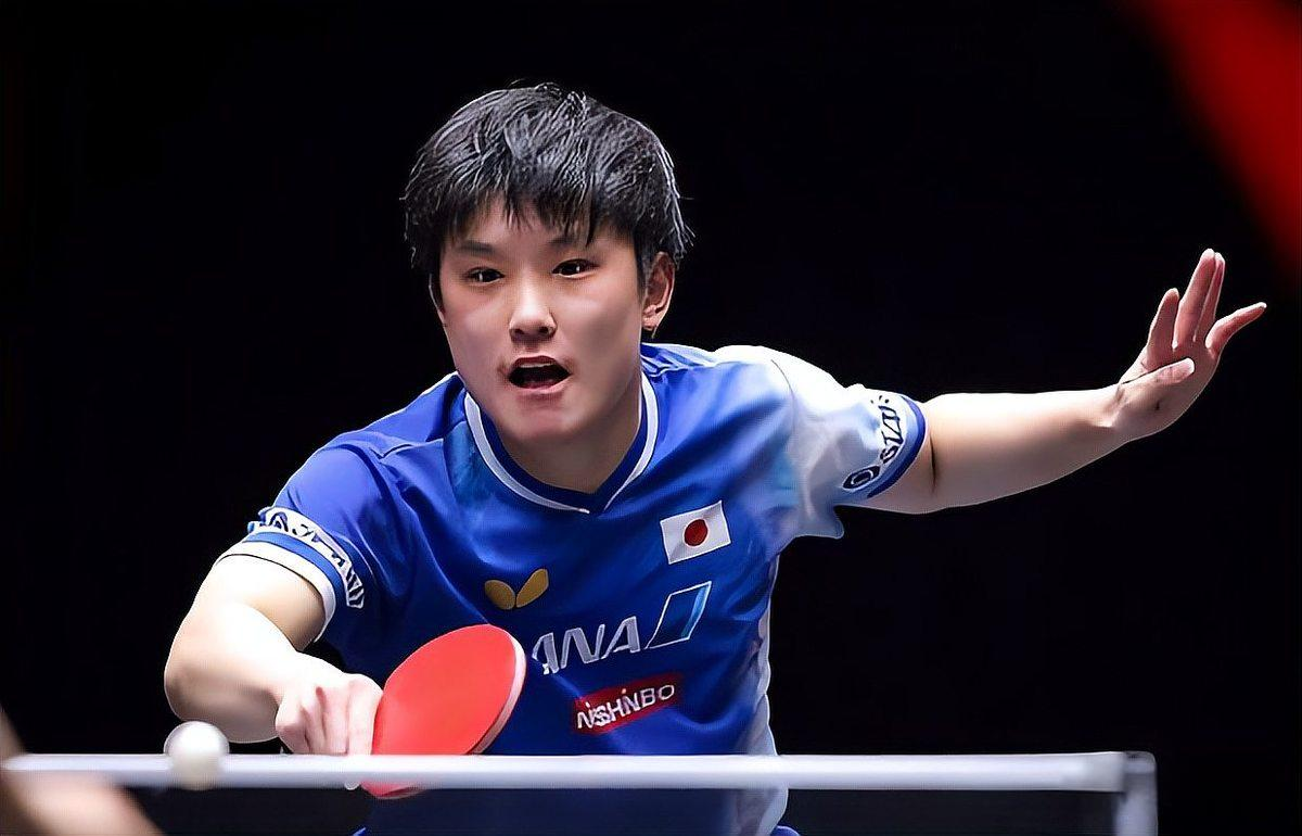法国乒乓球队险胜波兰乒乓球队,张本智和惊艳世界的简单介绍 法国乒乓球队险胜波兰乒乓球队,张本智和惊艳世界的简单介绍